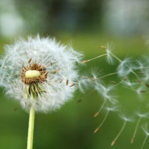 Gewichtsreduktion - geführte Online-Hypnose